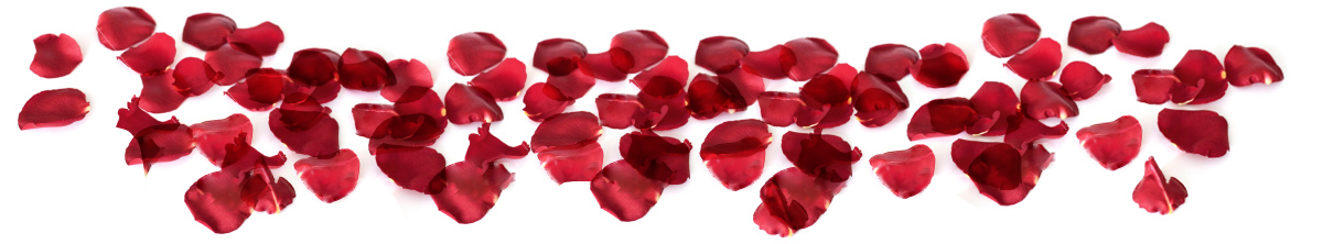 bottom roses